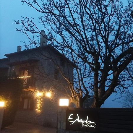 Guesthouse Elaia Synikia Mesi Trikalon Luaran gambar