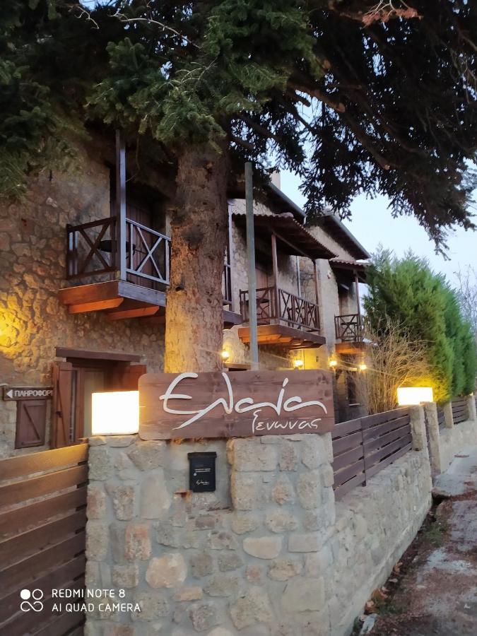 Guesthouse Elaia Synikia Mesi Trikalon Luaran gambar