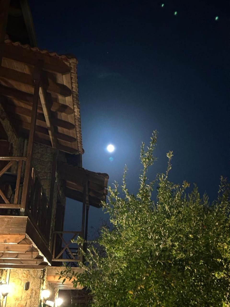 Guesthouse Elaia Synikia Mesi Trikalon Luaran gambar